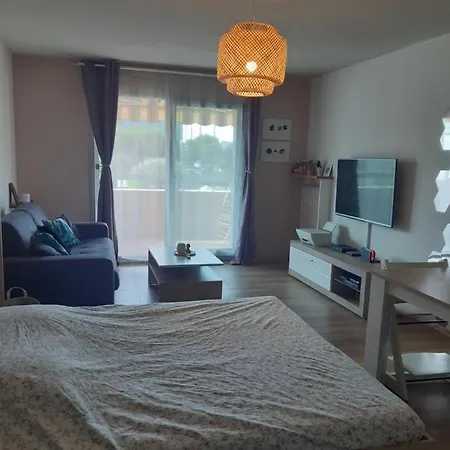 Apartmán 3p Avec Garage Proche Aeroport, Tramway Et Avec Toutes Commodites!