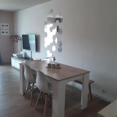 3p Avec Garage Proche Aeroport, Tramway Et Avec Toutes Commodites! Apartment Nizza