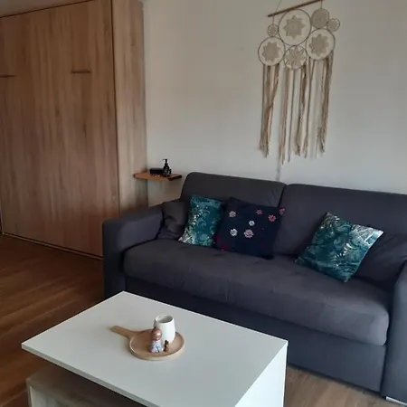 Apartment 3p Avec Garage Proche Aeroport, Tramway Et Avec Toutes Commodites! *